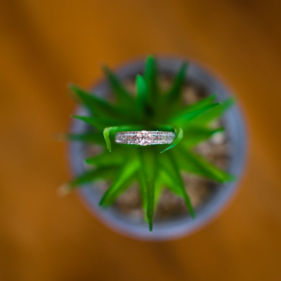 fotografía-dia-de-la-boda